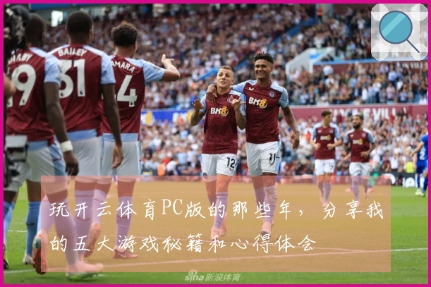 玩开云体育PC版的那些年，分享我的五大游戏秘籍和心得体会